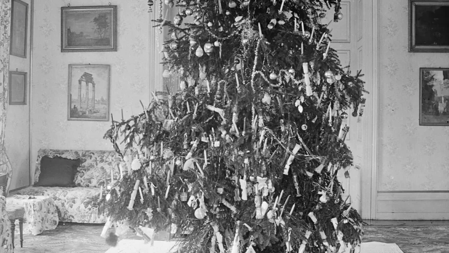 Decorated Christmas tree glowing with festive fairy lights and holiday baubles in a living room