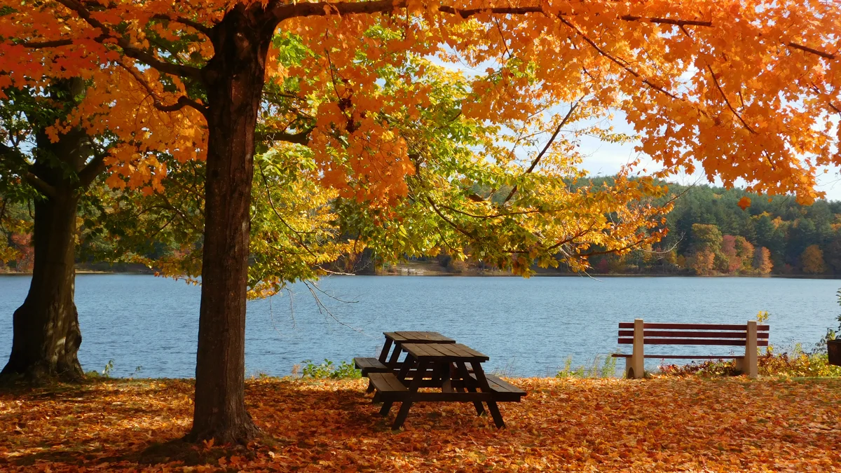 Vibrant autumn trees in Woodstock Connecticut reflecting the iconic small-town backdrops of classic comfort television